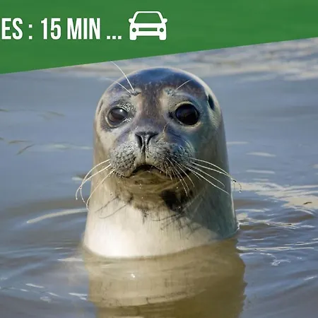 Cote Baie-plage A 15min-dog Friendly-parking Clos