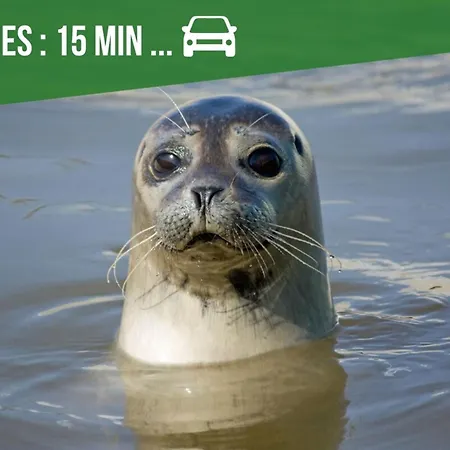 Cote Baie-plage A 15min-dog Friendly-parking Clos * Villers-sur-Authie